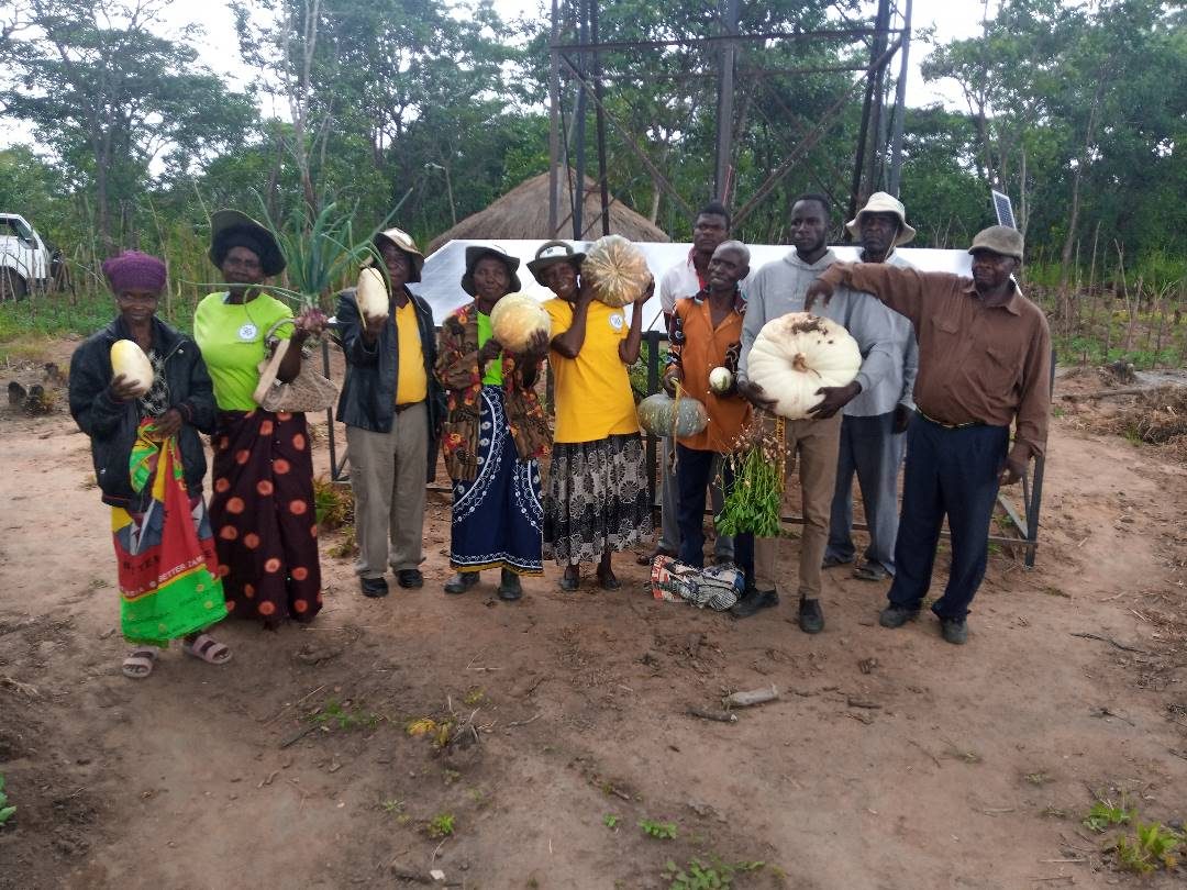 A community gathering in woodland while a man digs a planting hole